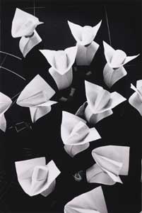 Australian Photography2.jpg